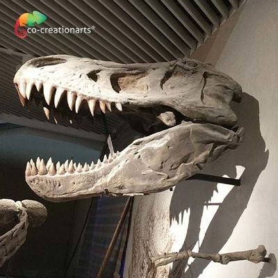 Головы реплики t Rex динозавра CE симуляция реалистической художественной каркасной каркасной высокая