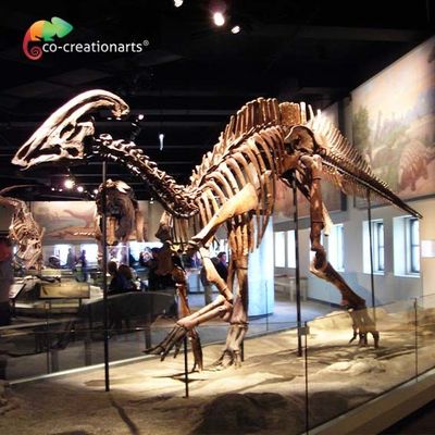 Делая водостойким юрский скелет Parasaurolophus реплики мира 15 метров длины