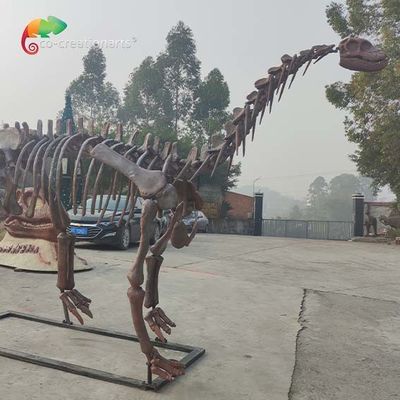 Shunosaurus реплики динозавра парка CE reistance погоды юрского каркасного каркасное