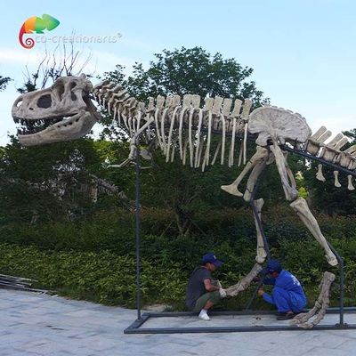 репеллент воды черепа реплик t Rex динозавра музея длины 15m качественный
