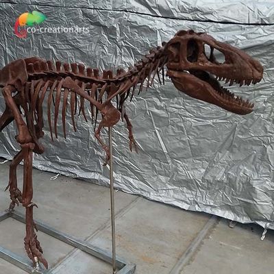 Персонализированная реплика черепа реплик t Rex косточки динозавра изготовления на заказ