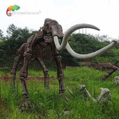 реплики размера reistance погоды модель Mammuthus скелетов реальной животная