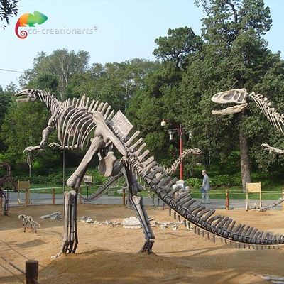 Скелета Hadrosaurus реплики черепа динозавра стеклоткани вызревание в натуральную величину анти-