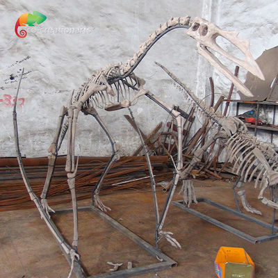 Скелет Quetzalcoatlus динозавра смолы выставки музея каркасный ориентированный на заказчика