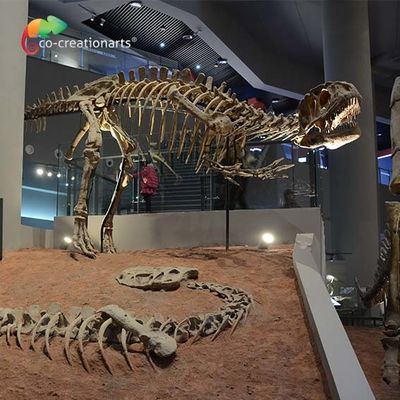 Хорошая цена. landscape decoration Outdoor Yangchuanosaurus Skeleton Dinosaur Replica Fossil онлайн