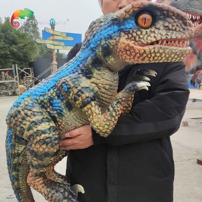 Имя