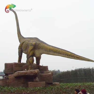 Имя