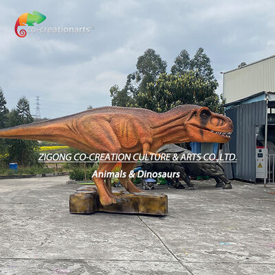 Имя